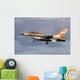 Israeli Air Force F-16b Wall Decal