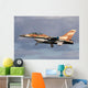 Israeli Air Force F-16b Wall Decal