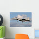 Israeli Air Force F-15d Wall Decal