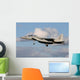 Israeli Air Force F-15d Wall Decal