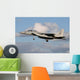 Israeli Air Force F-15d Wall Decal
