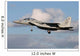 Israeli Air Force F-15d Wall Decal