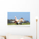 Israeli Air Force F-16c Wall Decal Design 2
