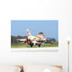 Israeli Air Force F-16c Wall Decal Design 2
