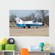 Romanian Air Force Mig-21mf Wall Decal Design 1