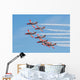 Spanish Aerobatic Team Patrulla Wall Decal