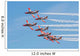 Spanish Aerobatic Team Patrulla Wall Decal
