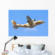 Moroccan Air Force Cn-235m Wall Decal