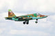 Belarusian Air Force Su-25 Wall Decal