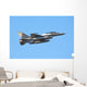 Romanian Air Force F-16b Wall Decal Design 1