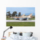 Pair Israel Air Force Wall Decal