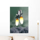 Space Shuttle Taking off Wall Decal