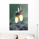 Space Shuttle Taking off Wall Decal