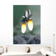 Space Shuttle Taking off Wall Decal