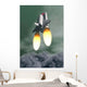 Space Shuttle Taking off Wall Decal