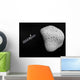 Rosetta Probe and Comet Wall Decal