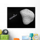 Rosetta Probe and Comet Wall Decal