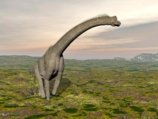 Brachiosaurus Dinosaur Walking Grassy Wall Decal