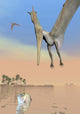 Pteranodon Fishing for Food Wall Decal