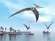 Three Pteranodons Flying over Wall Decal
