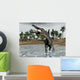 Spinosaurus Dinosaur Walking Water Wall Decal