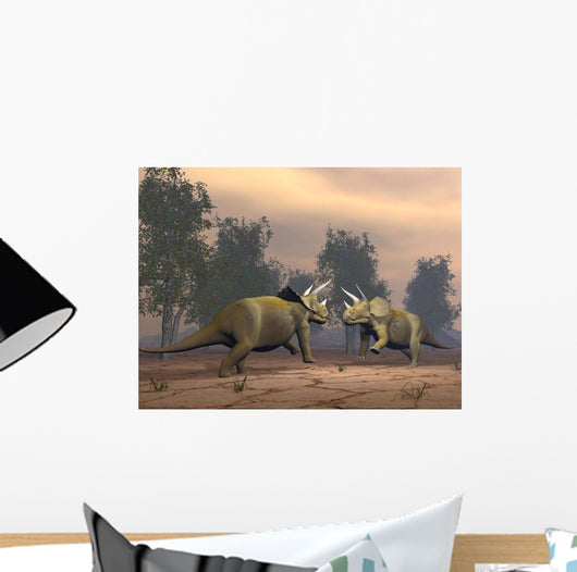 Confrontation between Two Triceratops Wall Decal
