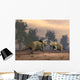 Confrontation between Two Triceratops Wall Decal