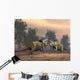Confrontation between Two Triceratops Wall Decal
