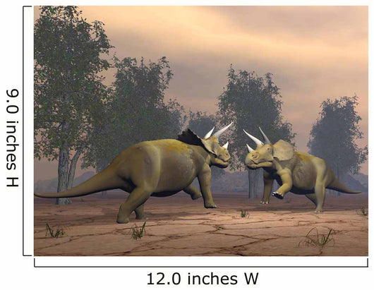 Confrontation between Two Triceratops Wall Decal