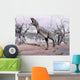 Aucasaurus Dinosaur Roaring Desert Wall Decal