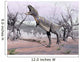 Aucasaurus Dinosaur Roaring Desert Wall Decal