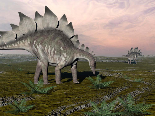 Stegosaurus Dinosaurs Grazing Plants Wall Decal