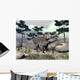 Zuniceratops Dinosaur Walking Hill Wall Decal
