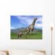 Mother Argentinosaurus Dinosaur and Wall Decal