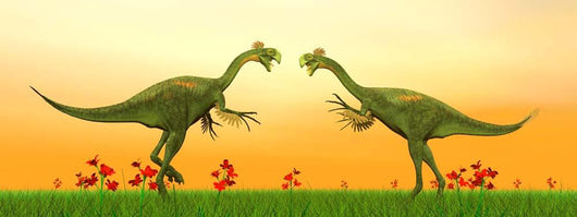 Two Gigantoraptor Dinosaurs Fighting Wall Decal