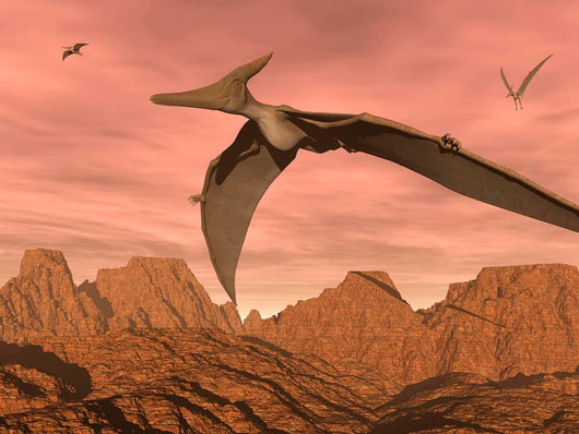 Three Pteranodon Dinosaurs Flying Wall Decal