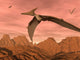 Three Pteranodon Dinosaurs Flying Wall Decal
