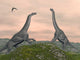 Two Brachiosaurus Dinosaurs Fighting Wall Decal