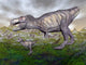 Tyrannosaurus Rex Mother and Wall Decal