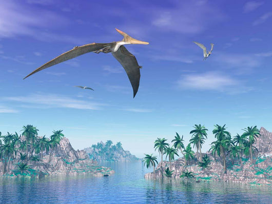 Pteranodon Birds Flying above Wall Decal Design 2