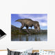 Tyrannosaurus Rex Dinosaur Walking Wall Decal Design 1