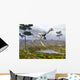 Caudipteryx Dinosaur Wall Decal Design 5