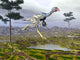 Caudipteryx Dinosaur Wall Decal Design 5