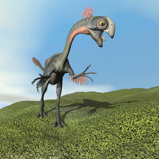 Gigantoraptor Dinosaur Wall Decal