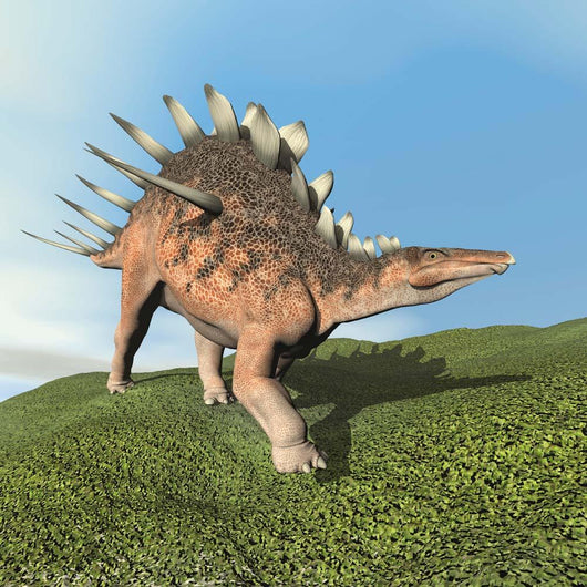 Kentrosaurus Dinosaur Wall Decal Design 1