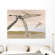 Two Pteranodons Flying over Wall Decal