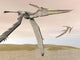 Two Pteranodons Flying over Wall Decal