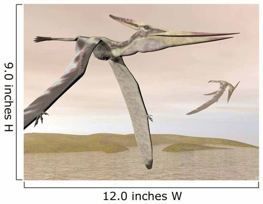 Two Pteranodons Flying over Wall Decal