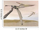 Two Pteranodons Flying over Wall Decal