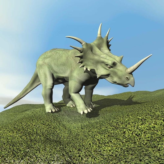 Styracosaurus Dinosaur Wall Decal Design 2